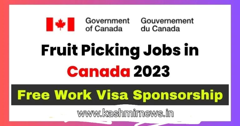 Fruit Picking Jobs in Canada 2023 With Visa Sponsorship- Check Salary & Know How to Apple Here